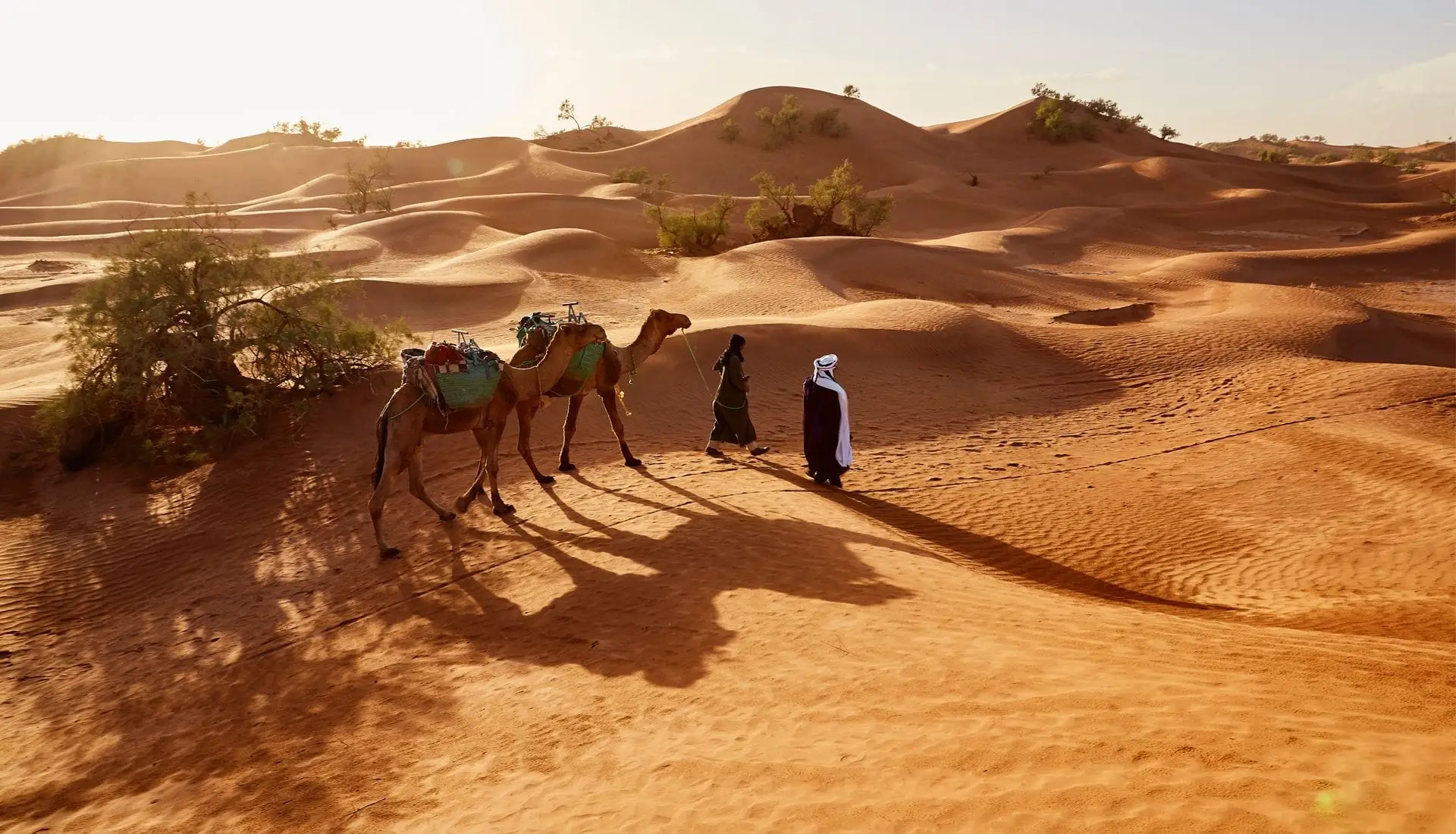 Gran Tour 15 días desde Casablanca, Marruecos profundo