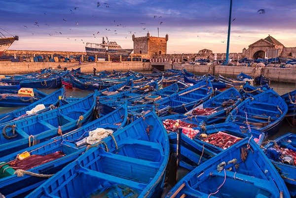 excursion a essaouira