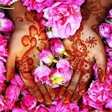 valle de rosas Marruecos