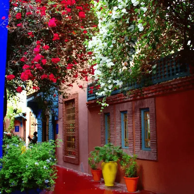  6. Jardines Majorelle