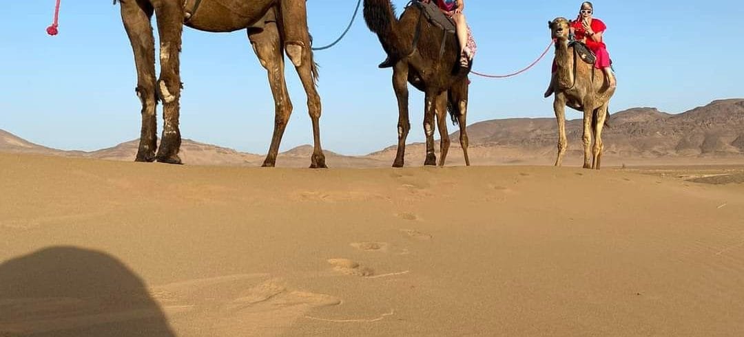 Excursión de 2 días al desierto de Zagora