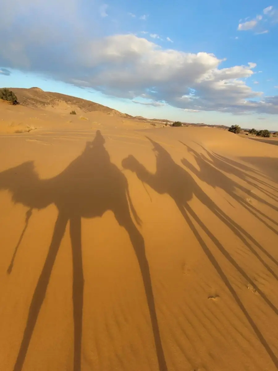Tours al desierto desde Marrakech