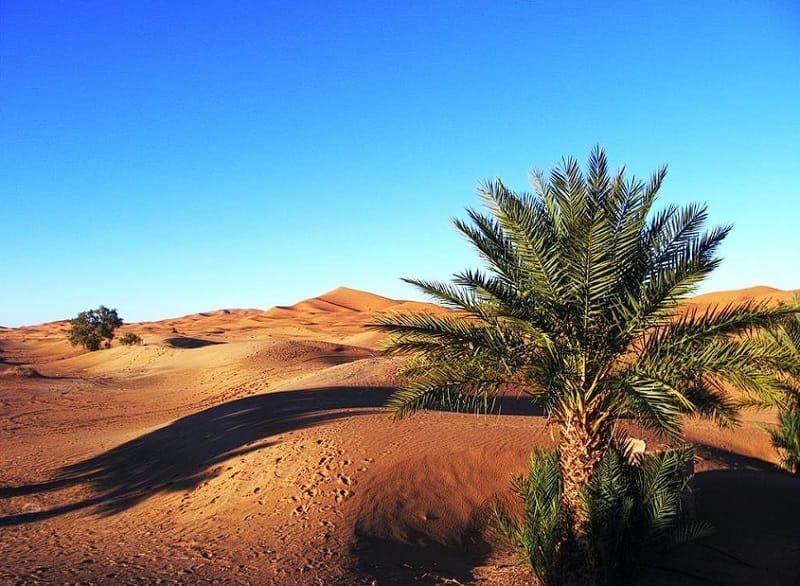 Desierto del Sahara