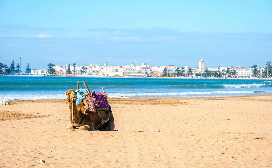 Playa Essaouira: Marruecos