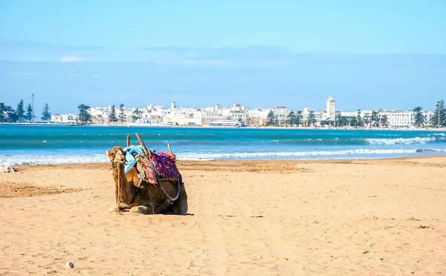 Consigue tu meta de viajar a Marruecos desde Uruguay 4 Playa Essaouira: Marruecos
