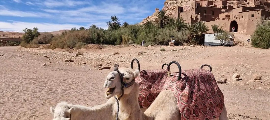 Circuito 8 días por Marruecos desde Marrakech finalizando Tánger