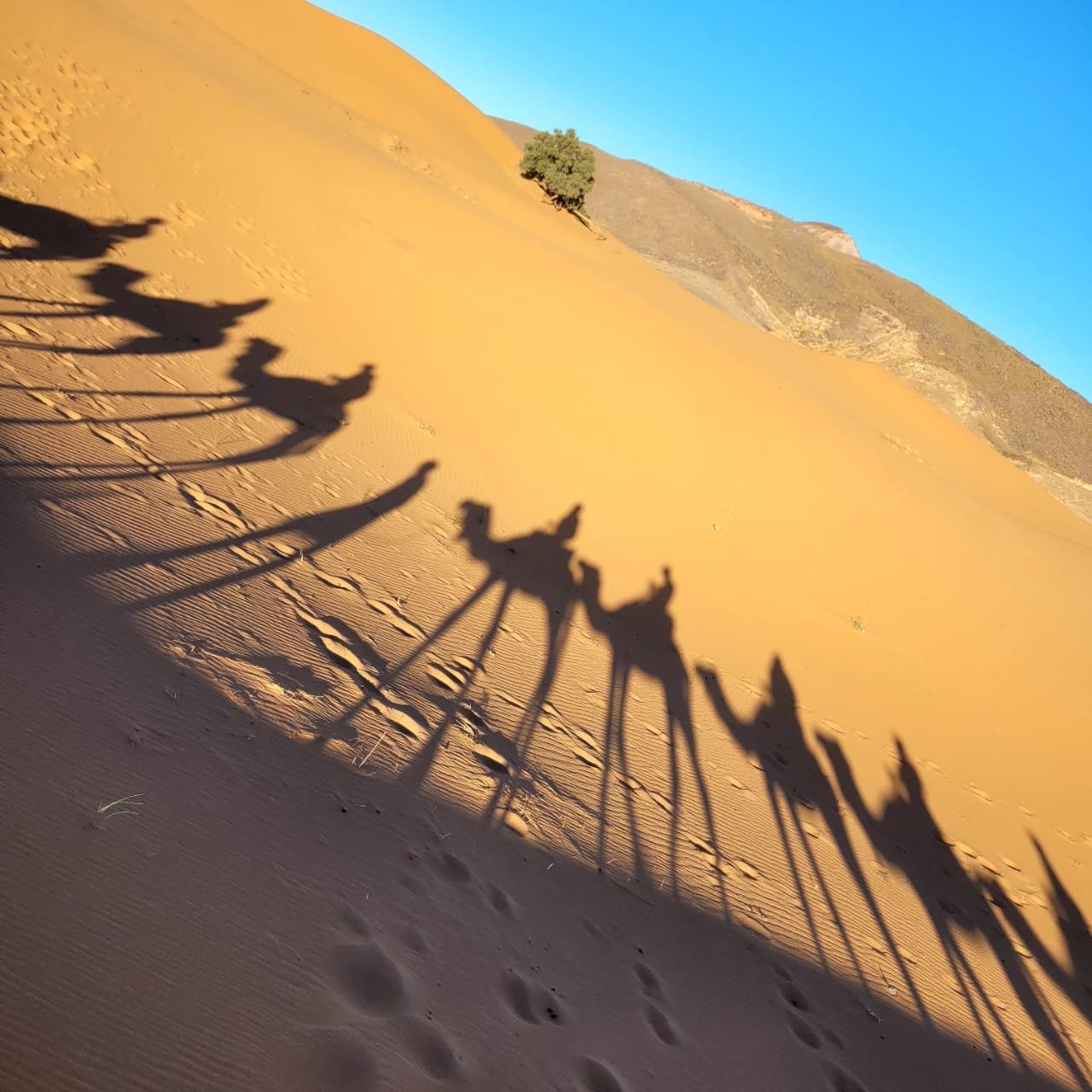 Tour 5 días desde Marrakech al Desierto Merzouga