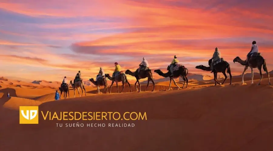 Tours por Marruecos desde Marrakech al Desierto
