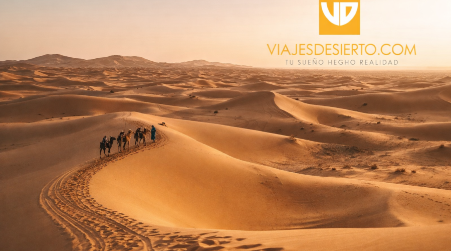 Errachidia qué ver y hacer, guía para visitar el desierto de Merzouga
