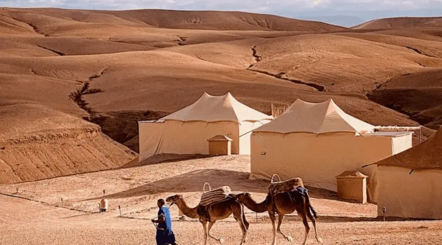 Merece la pena visitar el desierto de Agafay